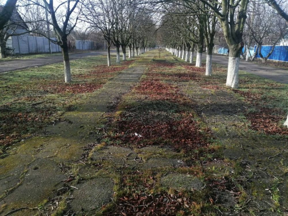 �������� ������ ������-�������� ���� � ���� ���������