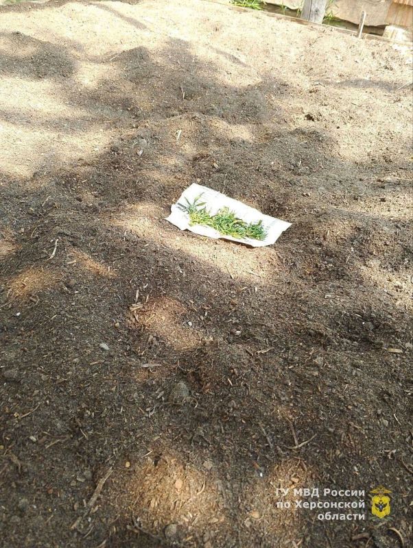 ������ ���������������� ������ ������������� � ��������������� � �������� ������������� ���������