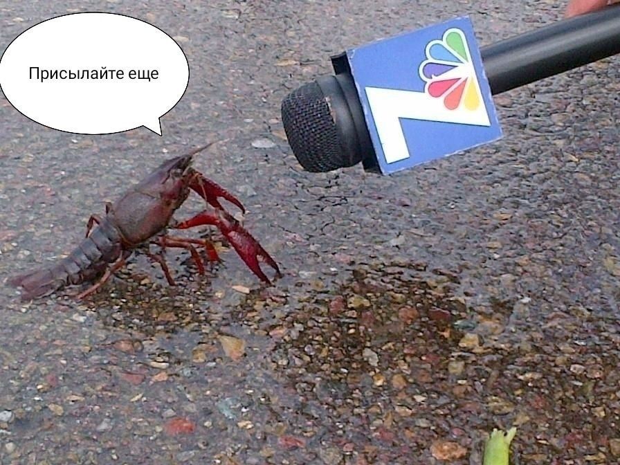 �������� ���� �� ������ ������� �� ������ ���������� �������, ���� ������ ������ ���������