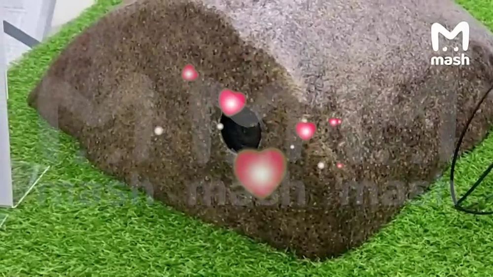 �������, ��� ������ ������ � ������?