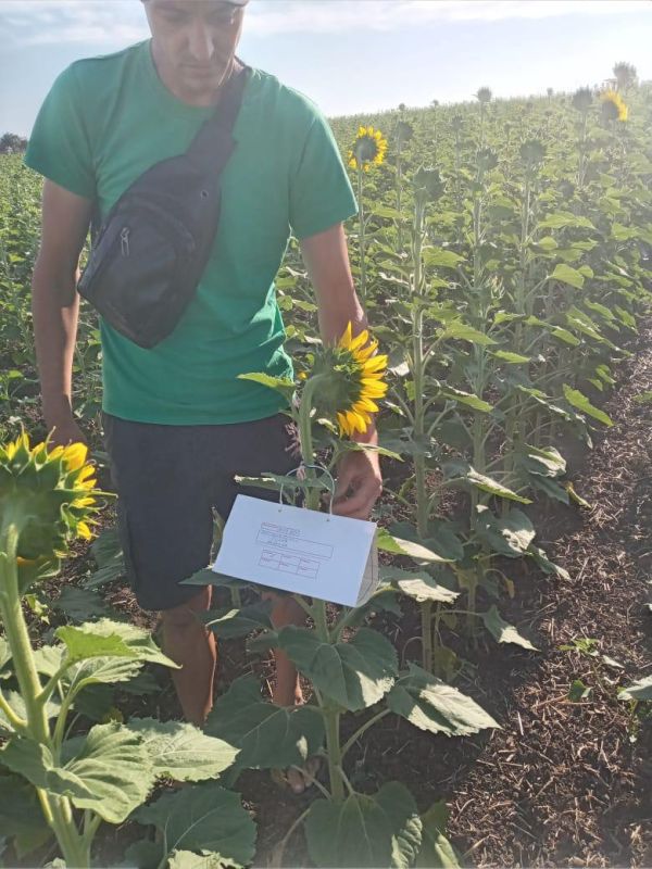 � ���������� ������� ����������� 60 ���������� ������� �� ��������� ����������� ��������