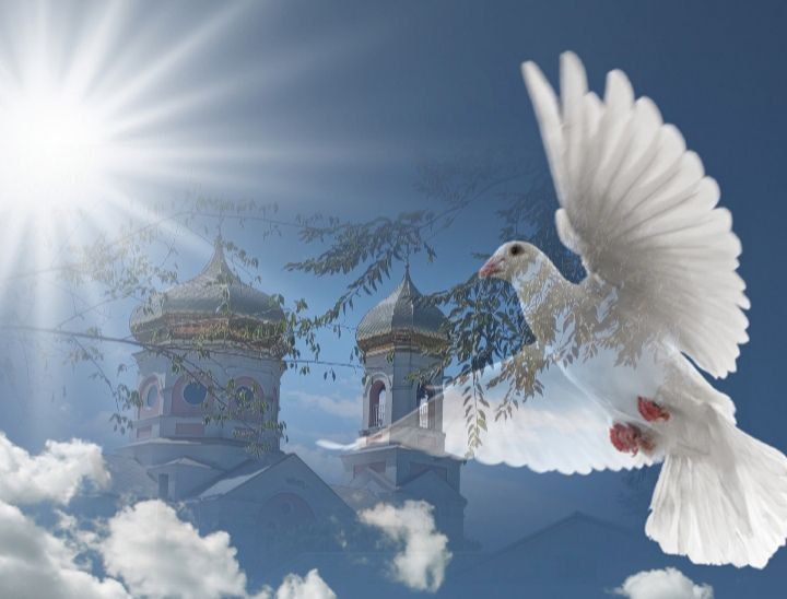 � ������ �����, �����������!