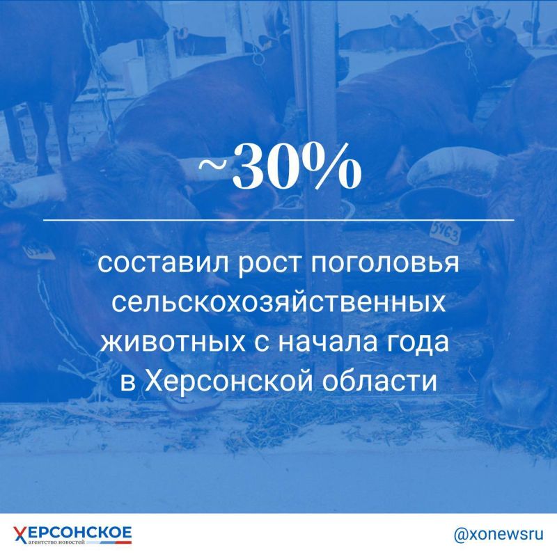 �� ������ ������������� �����������, ������ ���������� ��������� ���������� �������� � ���� ������������ �� ���������� ������� ���� � ����������� ����� ������ �� ������������ ������, ��������� �������������������� �������� � ������� ������