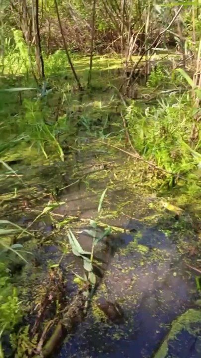 � ���������� �������� ��������� ���� ������ ������ ���� ���������� ���������� �������� ������ �� �������� �����