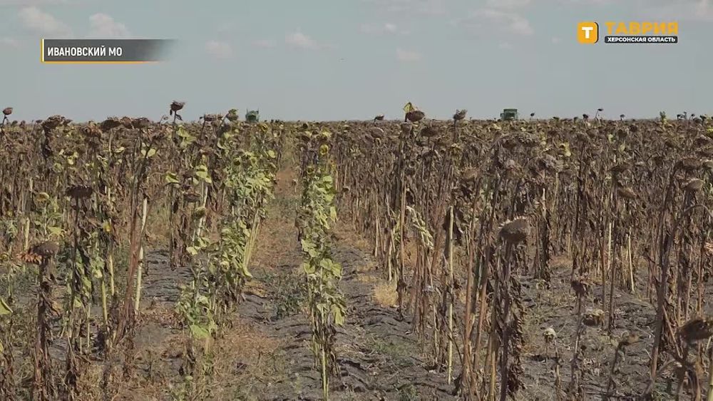 � ���������� ������� ������������� ������ ������� �� ������� � ��� ������ ��������