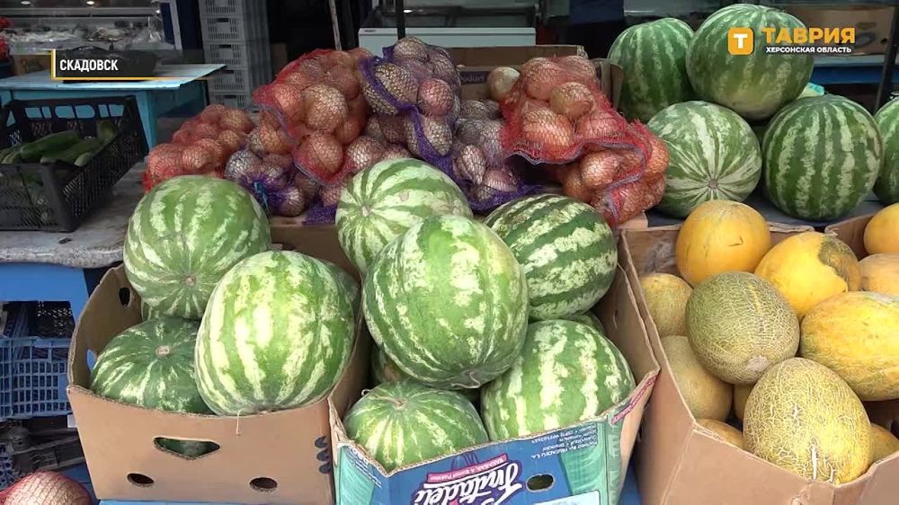 ����� 800 ����������� �� ���������� ��������� ������ ��������� ���������� ������� �� ���