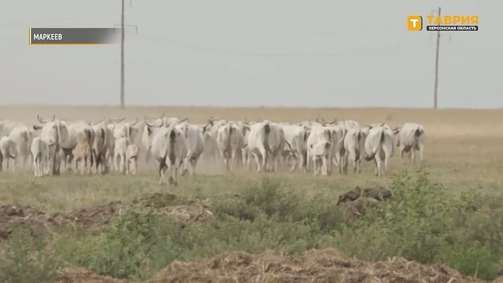 �� ���������� �� 25% ����������� ����������� �������� �������� ����� �� ��������� � ������� �����