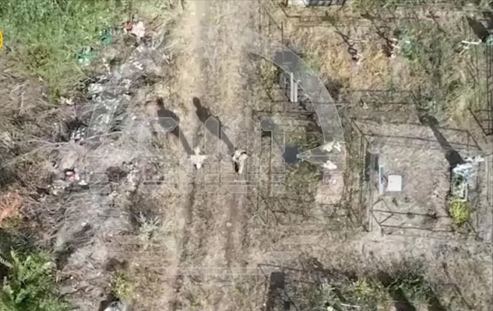 �������� � ������� ������� ���������� ����� "�������" � ��� � ������ ������� ����������-����������