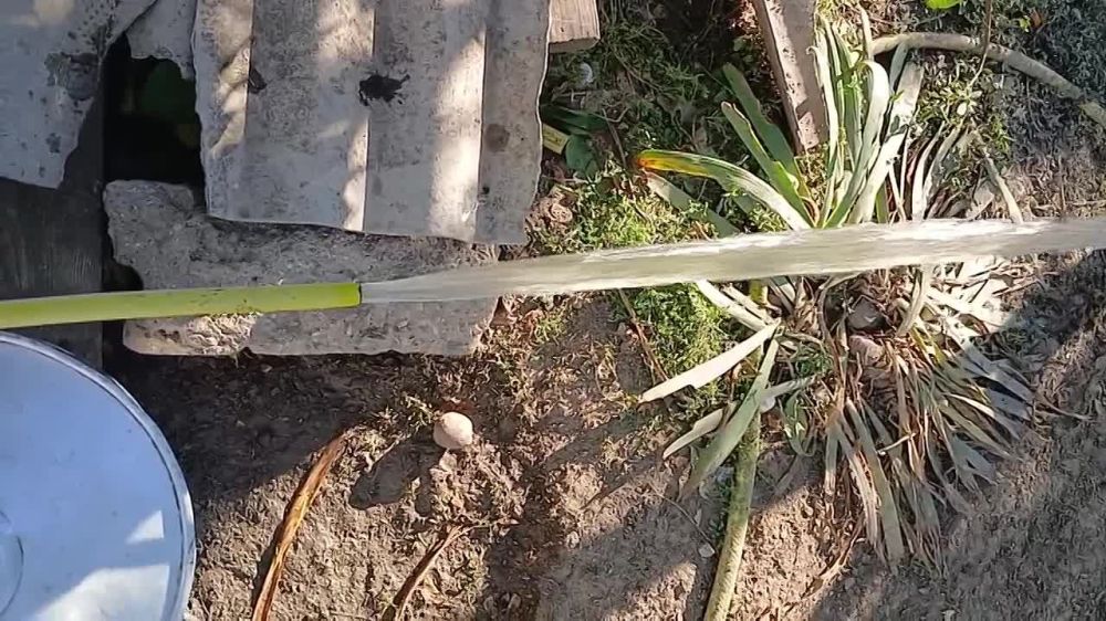 ��������� �������� ����������� ���������� ������� ������ �������� � ������� ���� � ���� ������ ����������� ������