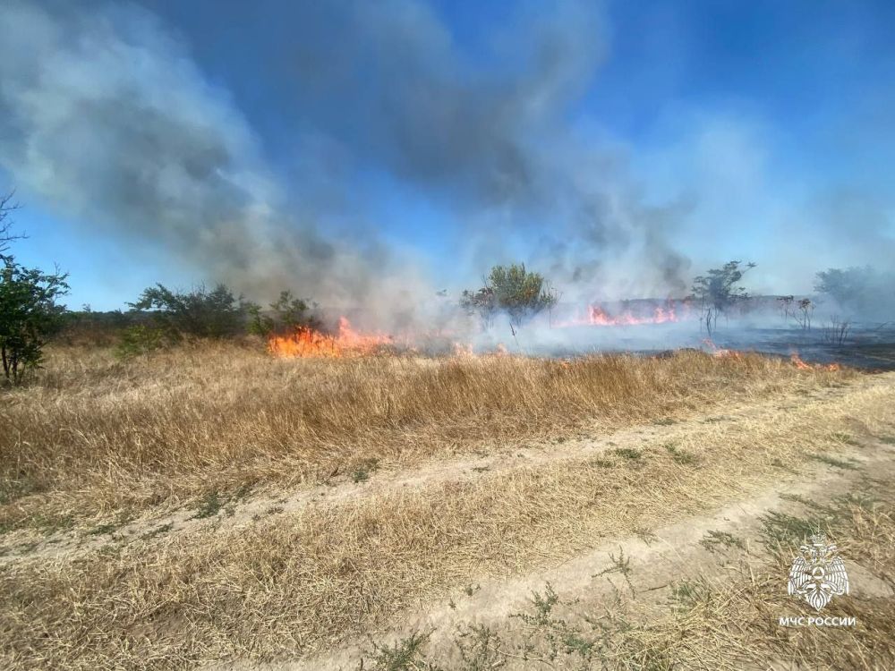 ��� ��������:. �� ��������� ����� ������������� 12 �������: �����������: 3 ����� ��������������: 8 �����: 1 �������� 2 ��������� � �������� � ������ ��� � ������� 2 ������