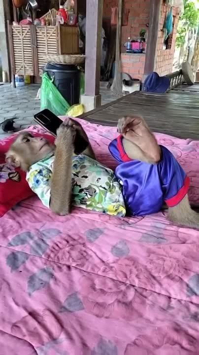 �� ���, ��������� ��������� �������, ������� � ������� �� ����� ������������ ��������� � ������ ������� 2024? ����?