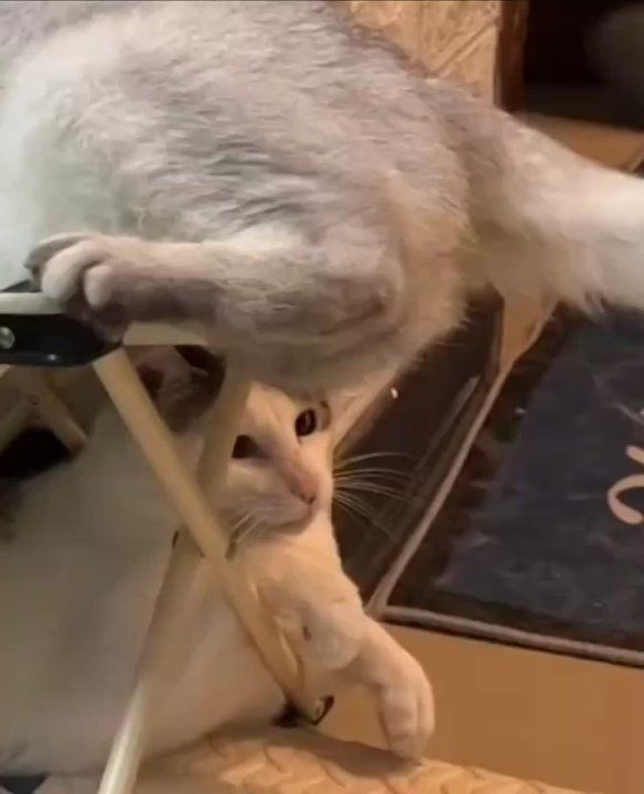 ������ ����������� ���������� � ���� ��-��