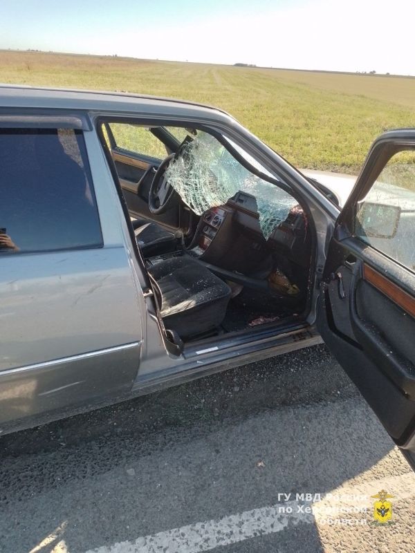 � ������������ ������ ���������� ������� ������������� �������������� ��� � ��������� �������