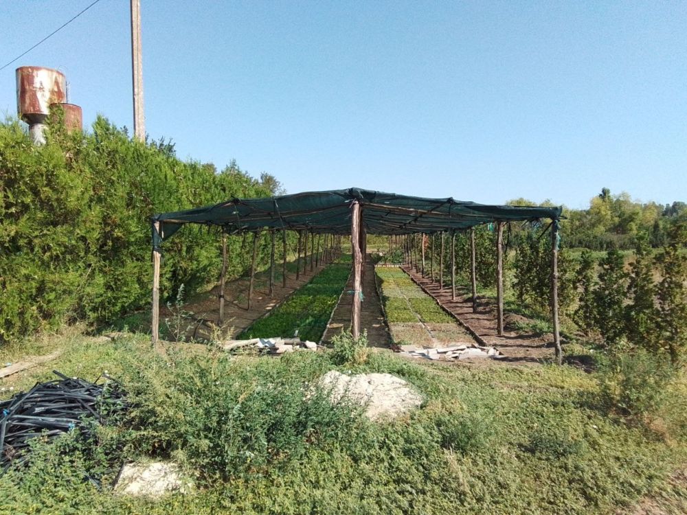 ���������� ����������� ��������������� ��������� �������� ����������� �� ������������ ������� � ���������� �������