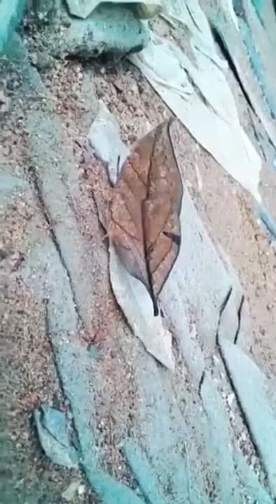 � ��� ����� ������� ������?