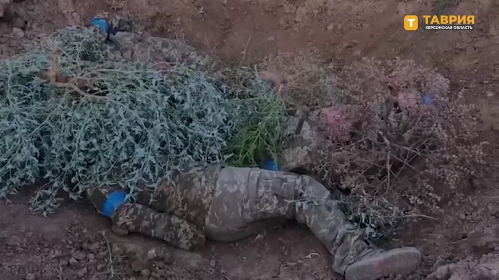 ��������� ���������� ������: � ������� ������� ���������� ������ ���������� �������� ������������� � ������ ����