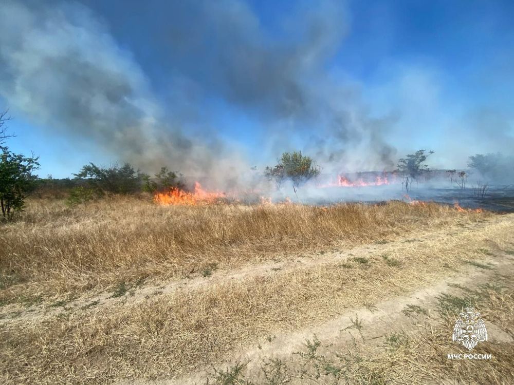 ��������� ��� ������ ���������� ������������� ������ � ���������� �������