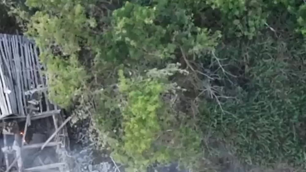 ������������� �����! �� ���������� �������� �� ����!