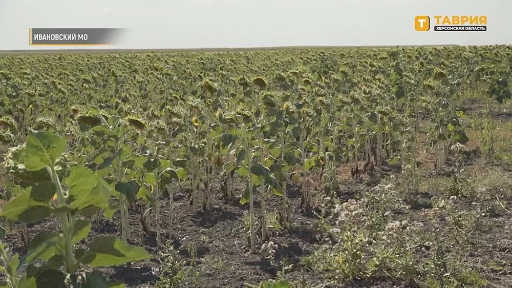 � ���������� ������� ������������� ������ ������� �� ������� � ��� ������ ��������