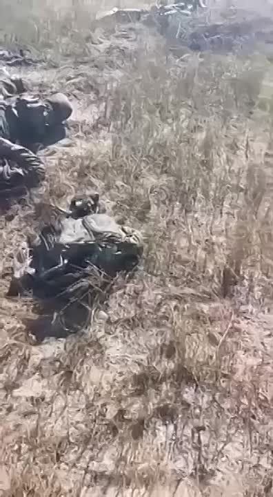 �������, ��� ���� �������? ���������� ����� � ��� ������!