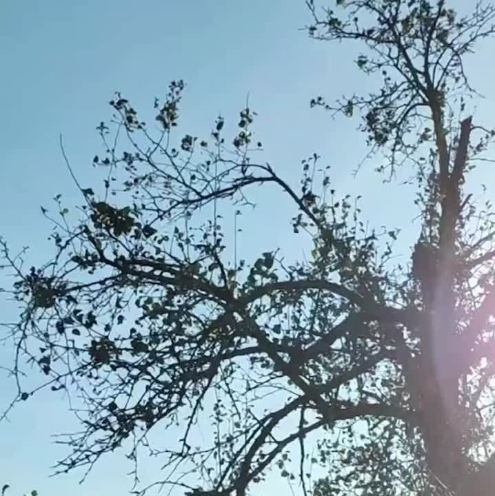 ������. ����� ����, ������� � ������� ������ �������� ���� � ���� �� ���������� �������, ��������� ����� � ���