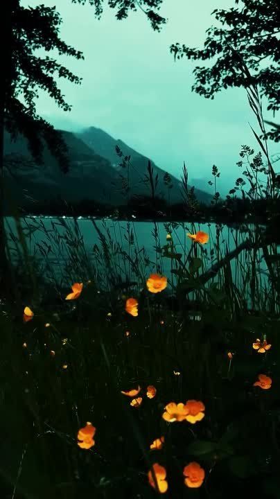 ��������� �������� ����������