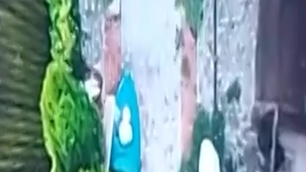 ���� �� �������: ������, ����������� �����