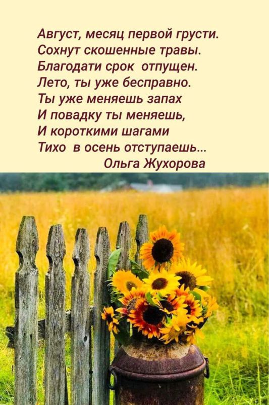 ������. ����� �����������, ����� � ���. ���������� �����