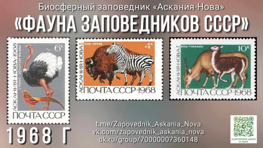 ������ ������������ ���л ��� ����������� ��������-���� ������������