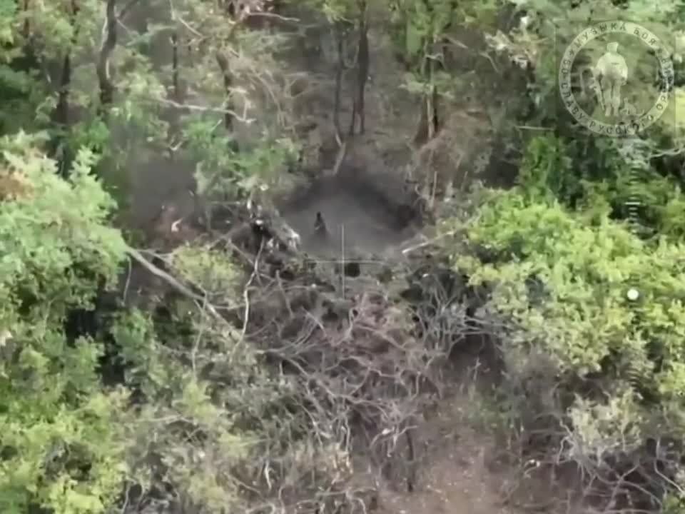 ����������� 82 �� ������� ����������