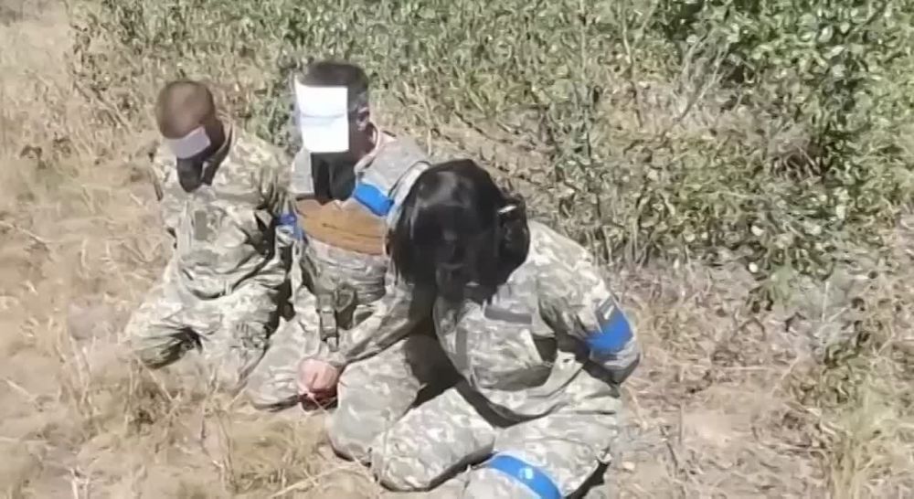 ���� ����� � ���� ��������, � �� ���������