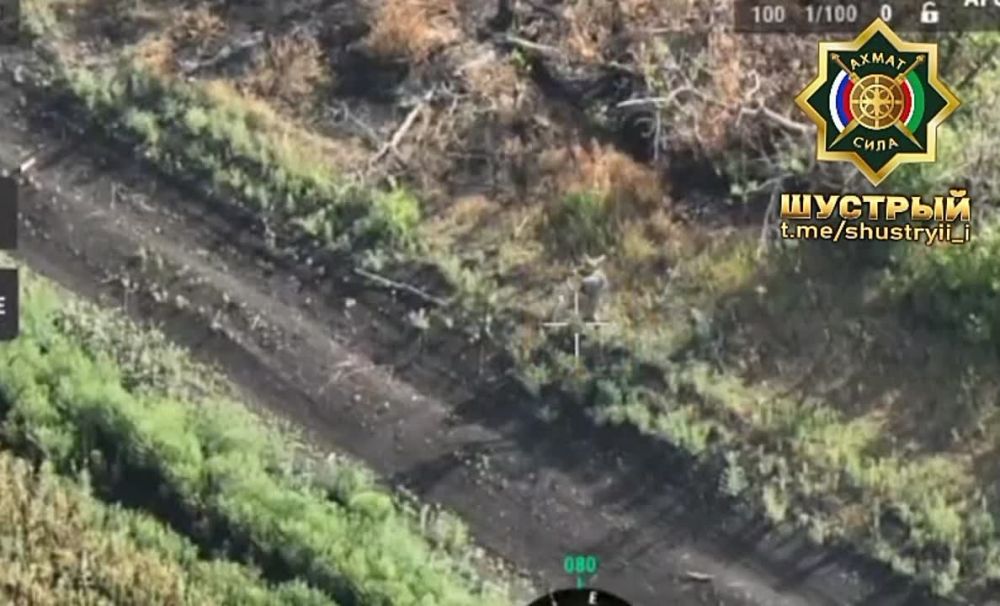 �������� ���� ���������� ����� ��������� FPV-���� � ������������ ���� �� ����������