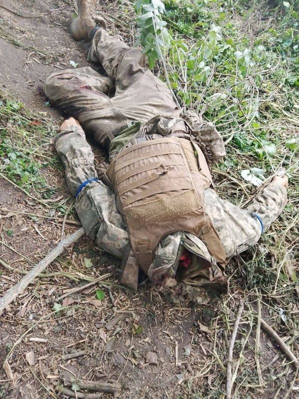 18+ ��� � ������� ������� ����������