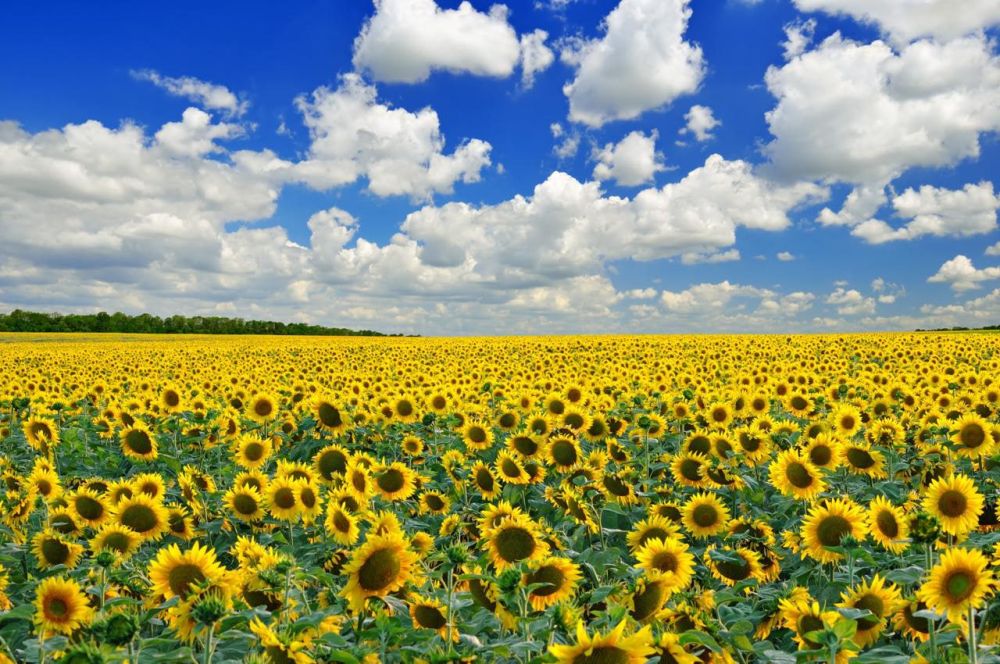 � ������ ������� � ���������� ������� ������� �������������� ���������� ������� ������������� �� ������� 32,1 ���