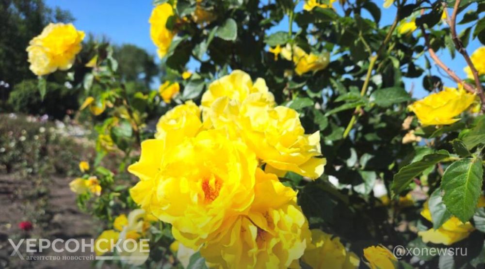 �������� ������� ������� ���� � �������� �������� � ���������� �� ��������� ������