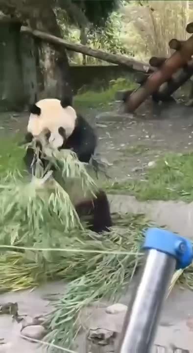 ������, ��� � ��� � ������������? � ������� �������? �����������