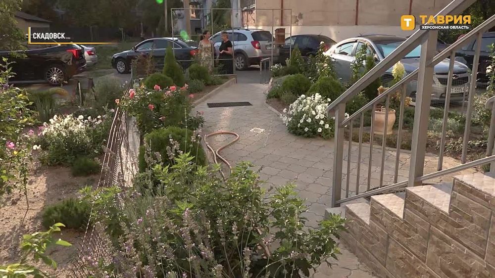 ���������� ��������� �������������� �������� ���������������� ����� ������������� ����