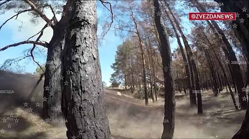 ������ ���������, ��� ����� ���������: ���� ������ ������� � ���������� ������� ��������� ����� ������ � ����� ������ ���������� ������������ ����� ������