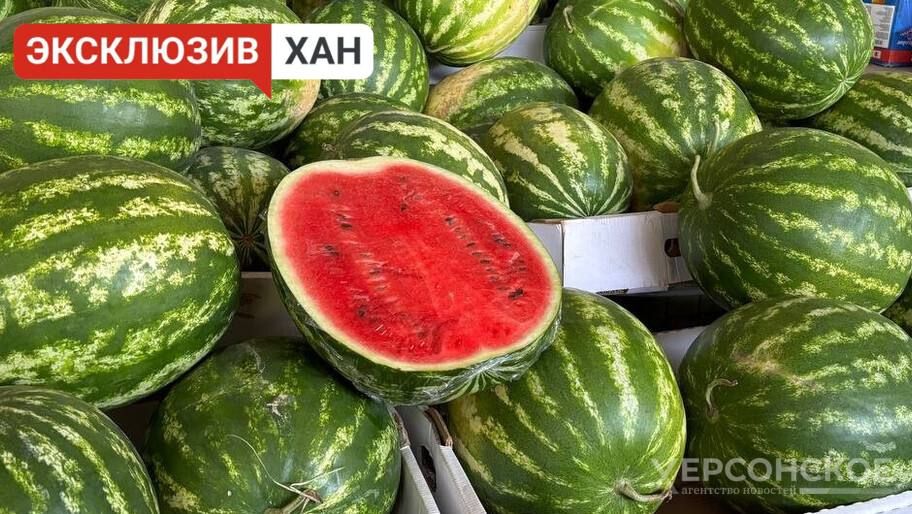 ������: ���������� ������ ���� �� ������� � ����������