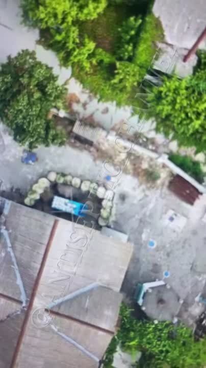 #���������. ����� ������, ��� � ���������� ���� ������� ������ �������� ������ � ������������ ����� ������� ����������� � ���� �������������, �� ��� �������� ���������!