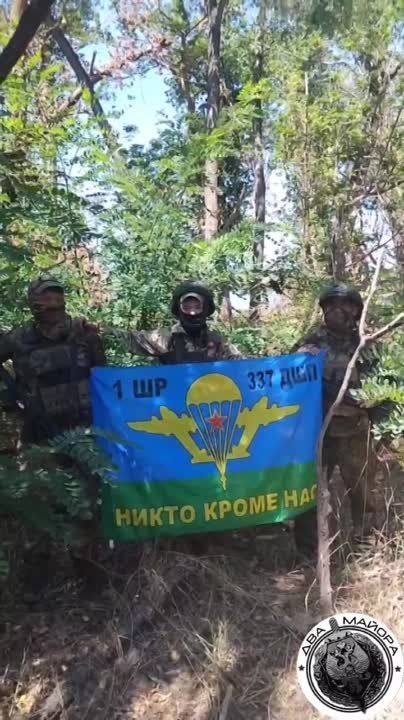 ��� ������: ���������� �����������. ��� � ������� �������� ������, ���� ����� � ���� ������ ������ ���������� � ��������� ����. ������� 337 ��� 104 ���