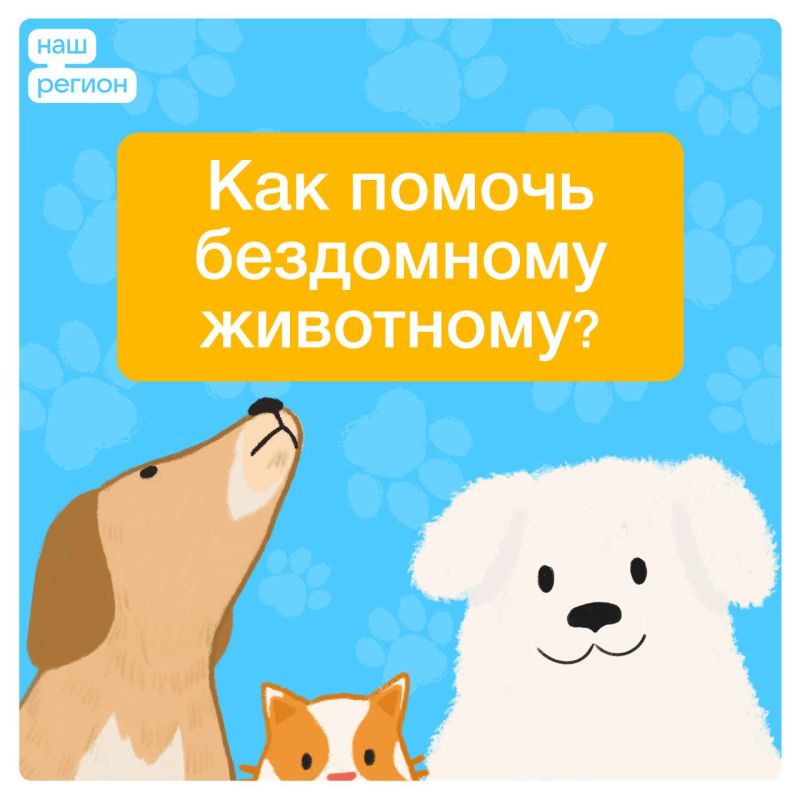 ������� � ���� ���������� ������ �������� � ������������� ���� ������ ��������� ��������