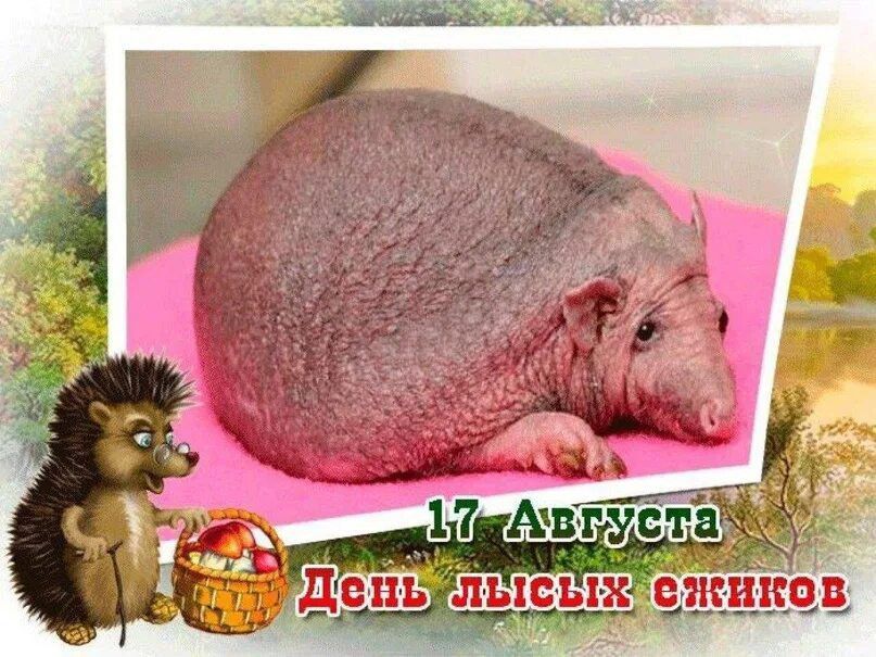 ��������� 19 �������. ���� �������� �������������� �������� ���������