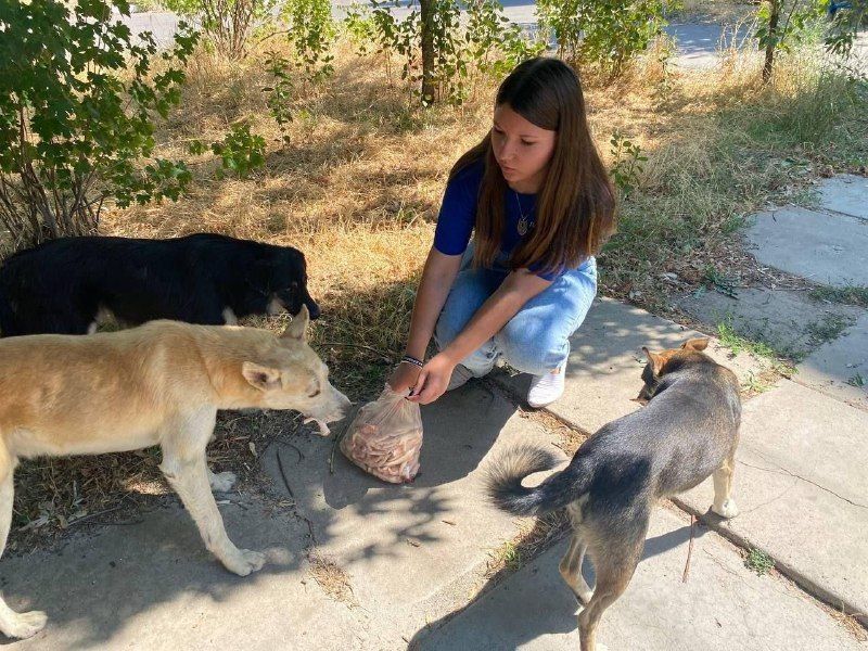 �� ��� ��������� ��������, ������������ ������� ������� �������� ���������� �������, ������� �����