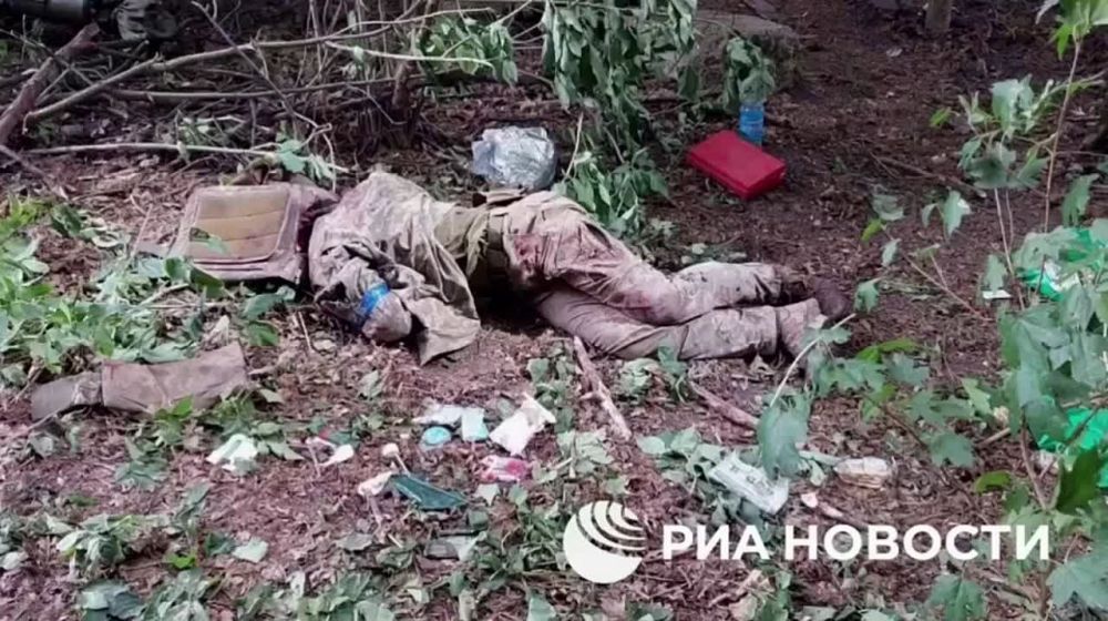 ������� 82-� ��������� ������� ��� � �������� ���� ���������� � ������� �������