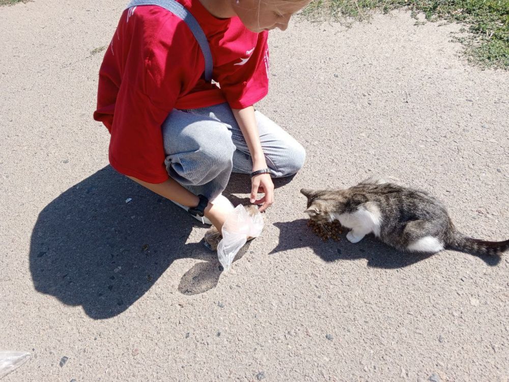 � ��������� �������� ��� �����