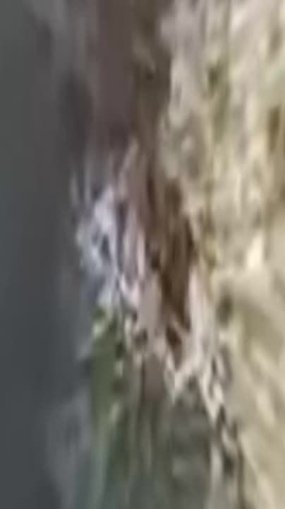 ���� �� �������: ��� ���� ������ ������� ��������������