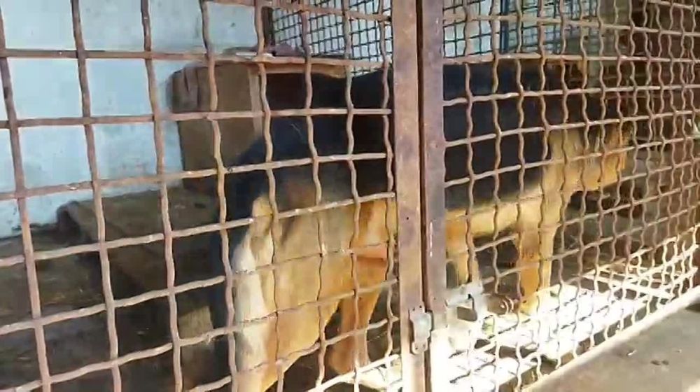 17 ������� �� �������� ��������� ���� ��������� ��������