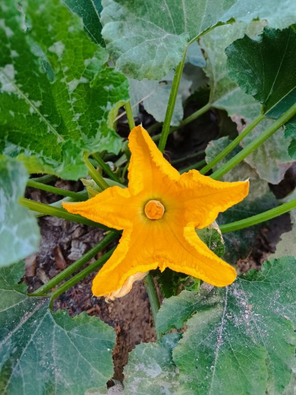 � ������ �����, �����������!