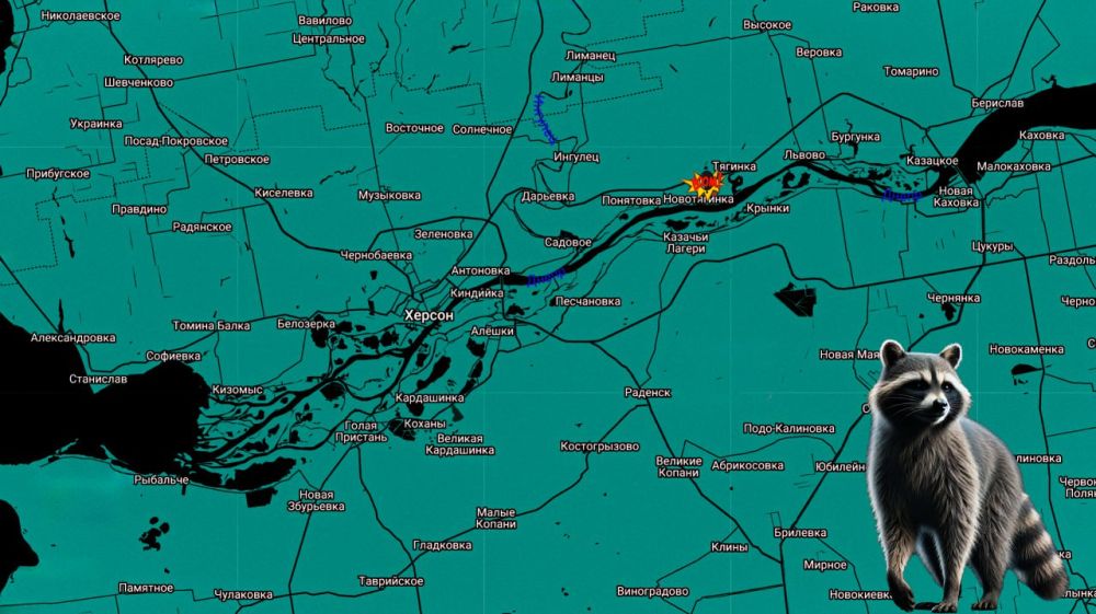 ���� �� �������: ������ ����! ����������� ����������: